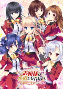 【抜かずにはいられないエロゲー】 俺の●●●が限界破裂！ 1542will376 お嬢様は素直になれない〜大好きをキミだけに〜  俺をシコ沼にハマらせるほどのエッチなシチュエーション…