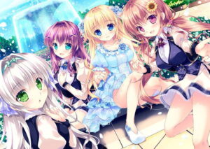 【至高のエロゲー】 この絵ドスケベ過ぎｗｗｗｗｗ 1656apc12469 姫と乙女のヤキモチLOVE 抱き枕カバー付き豪華版  この絵っ…シコリティ高すぎ…