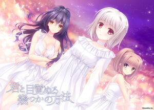 【エロゲー】 ≪えっ…この絵エロ過ぎでは…？≫ 1685nvsw0100 君と目覚める幾つかの方法  どちゃくそエロいシチュエーション見たら何度でも抜いちゃう…