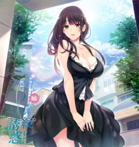 【ドスケベなエロゲー】 【超雄すめ】 1790hw0026 如月真綾の誘惑  さすがの俺も抜かざるを得ない…