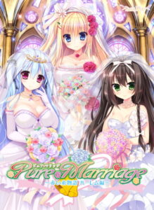 【●●●が上手いエロゲー】 もう我慢の限界…で、でる… 2056apc12242 Pure Marriage〜赤い糸物語 ハーレム編〜  俺は容赦なくシコり、そして容赦なく大噴射する…