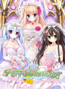 【アダルトなゲーム】 これはオナニーネタに困らんわｗｗｗ ggs_1116 Pure Marriage 〜赤い糸物語 ハーレム編〜  どちゃくそエロいシチュエーションに思わずシコったわ…