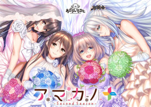 【ぐぅシコ・エロゲー】 俺の我慢汁が限界突破！ next_0249 アマカノ 〜Second Season〜＋  シコシコ隠語誘惑のオンパレードに俺は性欲に勝なかった…