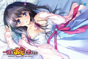【大興奮するエロゲーはこちら】 神絵とはこのことか… 2284apc13762 一途な（処女→）彼女と恋したい  俺の●●●泣かせの名場面の多さに感無量