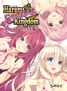 【ぐぅシコ・エロゲー】 【超雄スメ】 has_0084 HaremじゃないよKingdom 光＆ソフィーヤ＆キキ 編  この絵の質感…思わず手が出ちゃうよね…