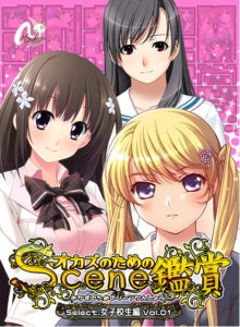 【エッチ過ぎるエロゲー】 ★★みんな気になってます★★ minkm_0061 おかずのためのシーン鑑賞 女子校生編Vol.1  引きこもりのシコりネタに最高ですｗｗｗｗｗ