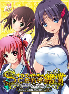 このエロゲー、最高や… オススメ★★★★★ minkm_0063 おかずのためのシーン鑑賞 妹編Vol.1  どちゃくそエロいシチュエーションに思わずシコったわ…