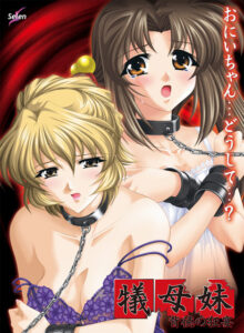 【至高のエロゲー】 雄すめ！！ selen_0017 犠母妹〜背徳の狂宴〜  これを見て俺の日常はエクスタシー三昧である
