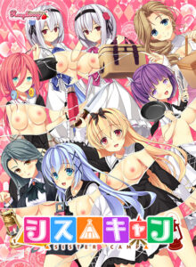 チ●コを勃たせるとはこの事や！エロゲー 圧倒的ボリュームに感無量！！ views_0686 シス△キャン【電動オナホール対応】  今夜のおかずはコレで決まり！！