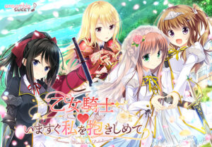 このエロゲー、最高や… 神絵とはこのことか… will_0211 乙女騎士 いますぐ私を抱きしめて  圧倒的男受けの良い描写にシコらざるを得ない