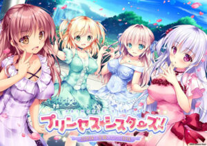 【エチエチなエロゲー】 孕ませ欲ヤバイｗｗｗｗｗ 1656apc13960_t 【FANZA限定】【早期予約特典付き】プリンセス☆シスターズ！〜四姉妹は全員あなたの許嫁〜 抱き枕カバー付き豪華版 オリジナルパスケース付き  これを見たらシコっちゃ寝の繰り返しのエクスタシー三昧よ！