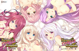【抜ける18禁ゲーム】 何度でも読み返しちゃう！ has_0088pack HaremじゃないよKingdom アフターストーリーセット  俺の●●●泣かせの名場面の多さに俺は性欲に勝てずシコりまくった…