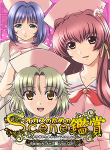 【エッチな大人のゲーム】 【超雄すめ】 minkm_0068 おかずのためのシーン鑑賞 ナース編Vol.2  どちゃくそエロいシチュエーション見たら何度でも抜いちゃう…