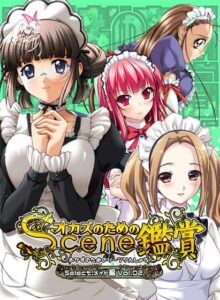 【クッソ抜けるエロゲー】 俺の●●●が限界破裂！ minkm_0072 おかずのためのシーン鑑賞 メイド編Vol.2  この絵っ…シコリティ高すぎ…