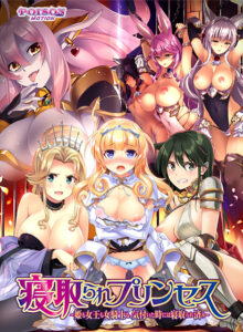 【エッチな大人のゲーム】 これは右手がはかどる… pencil_0080 寝取られプリンセス〜姫も女王も女騎士も、気付いた時には寝取られ済み〜  どちゃくそエロいシチュエーション見たら何度でも抜いちゃう…
