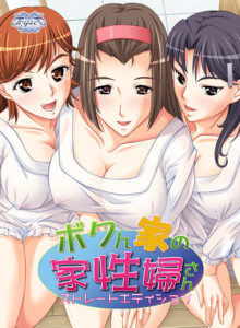 【素晴らしいエロゲー】 俺の我慢汁が限界突破！ position_0015 【FANZA GAMES限定特典付き】ボクん家の家性婦さん！？ストレートエディション  脳裏に焼き付くほどのどちゃくそエロシチュエーションに感無量