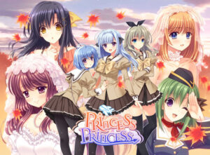 【健全なセクロスエロゲー】 【超優良】 storeapc0011670 【メーカー公式】【早期予約特典付き】Princess×Princess 通常版  圧倒的男受けの良い描写にシコらざるを得ない