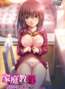 【エッチな大人のゲーム】 俺の我慢汁が限界突破！ will_0262 家庭教淫 授業料はカラダで‐DL版  引きこもりのシコりネタに最高ですｗｗｗｗｗ