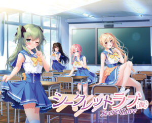 【抜かずにはいられないエロゲー】 この絵ドスケベ過ぎｗｗｗｗｗ 1564apc14573 シークレットラブ（仮） 豪華限定版  この絵っ…シコリティ高すぎ…