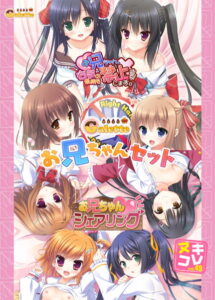 抜き絵ご用達のエロゲー オナリストに捧げる 1804nc10049 ヌキコレvol.49 Galetteお兄ちゃんセット  圧倒的男受けの良い描写にシコらざるを得ない