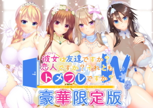 【抜ける18禁ゲーム】 凝視する程のドスケベな絵に感無量 2210inh444_t 【FANZA限定】彼女（ヒロイン）は友達ですか？恋人ですか？それともトメフレですか？W 豪華限定版 オリジナルA4イラストクロス付き  これプレイしながら抜けない奴いねぇよなぁ～！？