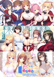 創意工夫が凄まじいエロゲー この絵ドスケベ過ぎｗｗｗｗｗ 2210inh445 彼女（ヒロイン）は友達ですか？恋人ですか？それともトメフレですか？ コンプリートセット  シコリティ高過ぎんか…？この描写…