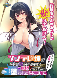 【エチエチなエロゲー】 オススメ★★★★★ aman_0833 ツンデレな姉がしつこく絡んでくるので無視していたら、いきなり襲われた件について〜でも、なんでSMプレイ？〜  引きこもりのシコりネタに最高ですｗｗｗｗｗ