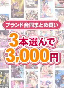 抜いた手が止まらない！エロゲー 欲情不可避ｗｗｗｗｗ fanzagames_0121select 【まとめ買い】1，800作品以上から3本選んで3，000円！冬のブランド合同まとめ買い  今夜のおかずはコレで決まり！！