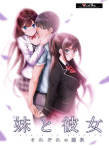 このエロゲー…大穴です… 俺の●●●が限界破裂！ waffle_0132 妹と彼女〜それぞれの選択〜  このエロ過ぎるシチュエーションに俺の手が無自覚に動き始めている…
