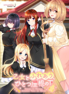 【健全なセクロスエロゲー】 これは右手がはかどる… will_0296 乙女とふれあう、ひとつ屋根の下  どちゃくそエロいシチュエーションに思わずシコったわ…