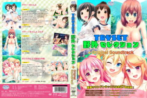 【極上のエロゲー】 ●●超優良●● 872apc14537 TRYSET 野外セレクション＋Original Soundtrack  刺激が強すぎて我慢できず思わずシコったわ…
