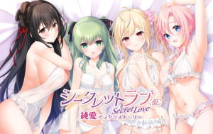 【シコシコ・エロゲー】 俺の男根が限界突破！ 1564apc14780 シークレットラブ（仮）純愛アフターストーリー 豪華限定版  この絵の質感…思わず手が出ちゃうよね…
