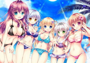 【健全なセクロスエロゲー】 何周目か忘れるくらい見たわ… 2338bscn005 姫と乙女のヤキモチLOVE-きらめき夏物語！- 普及版  この絵を見たら脳裏から離れなくなってヤバイ…何度でも抜いちゃう…