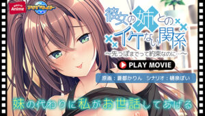 【●●●がみなぎりエロゲー】 これはオナニーネタに困らんわｗｗｗ aman_0896 彼女の姉とのイケない関係〜先っぽまでって約束なのに…〜 PLAY MOVIE  正直お気に隠しするレベルのエロさ…