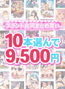 【断トツのエロさを追求したエロゲー】 ★★よく見られてます★★ fanzagames_0141select 【まとめ買い】1，800作品以上から10本選んで9，500円！夏のブランド合同まとめ買い  さすがの俺も抜かざるを得ない…