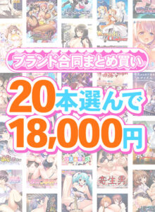 【エロゲー】 ★★みんな気になってます★★ fanzagames_0142select 【まとめ買い】1，600作品以上から20本選んで18，000円！夏のブランド合同まとめ買い  俺は容赦なくシコり、そして容赦なく大噴射する…