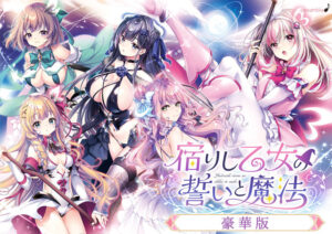 【圧倒的エロゲー】 孕ませ欲ヤバイｗｗｗｗｗ 1542will480dx_t 【FANZA限定】【受注限定生産】宿りし乙女の誓いと魔法 豪華版 オリジナルA4イラストクロス付き  隠語誘惑のオンパレードで俺の●●●もハチ切れんばかりの大興奮や！！