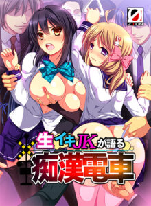 【成人向けゲーム】 雄すめ！！ vsat_0332 生イキJKが語る痴●電車HD版  どちゃくそエッチなシチュエーションに興奮が鳴りやまない！！！
